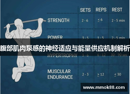腹部肌肉泵感的神经适应与能量供应机制解析